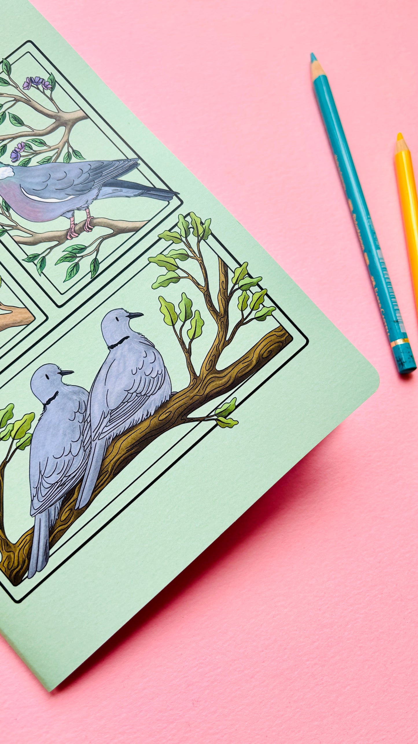 A5 Pigeon and Doves Notebook- Illustrated British Birds Stationery
