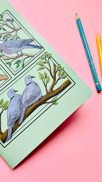 A5 Pigeon and Doves Notebook- Illustrated British Birds Stationery