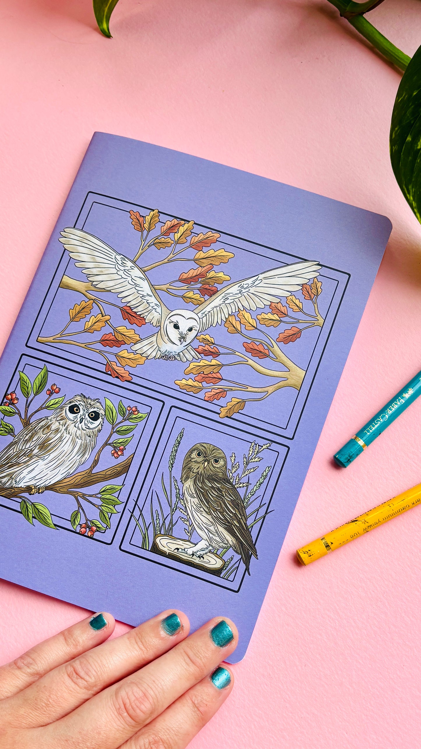 A5 British Owls Blank Notebook- Illustrated British Wildlife Stationery