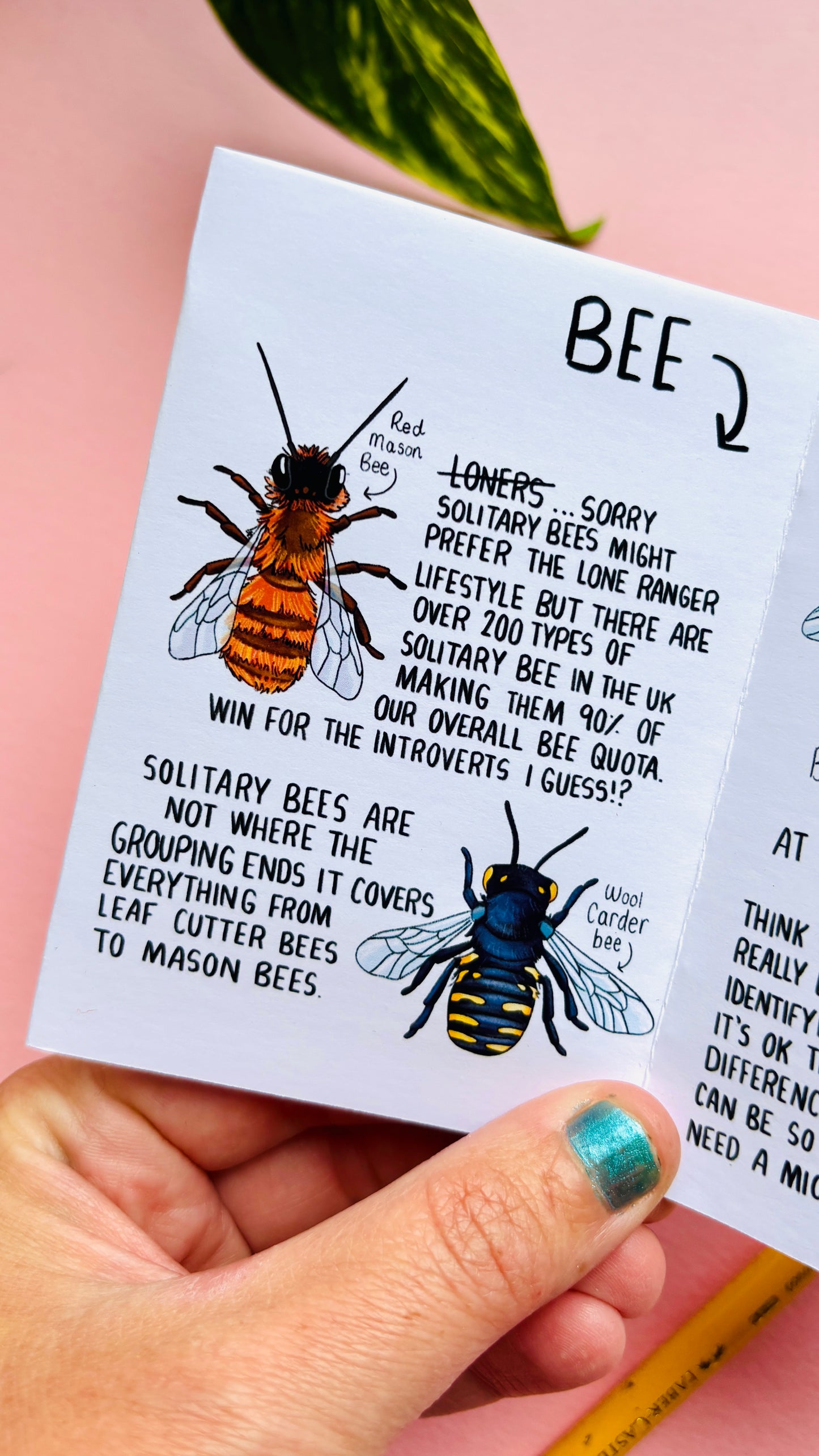 To BEE or not to BEE- An introduction to UK Bees Zine
