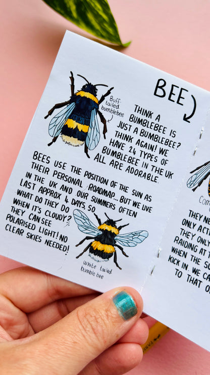 To BEE or not to BEE- An introduction to UK Bees Zine