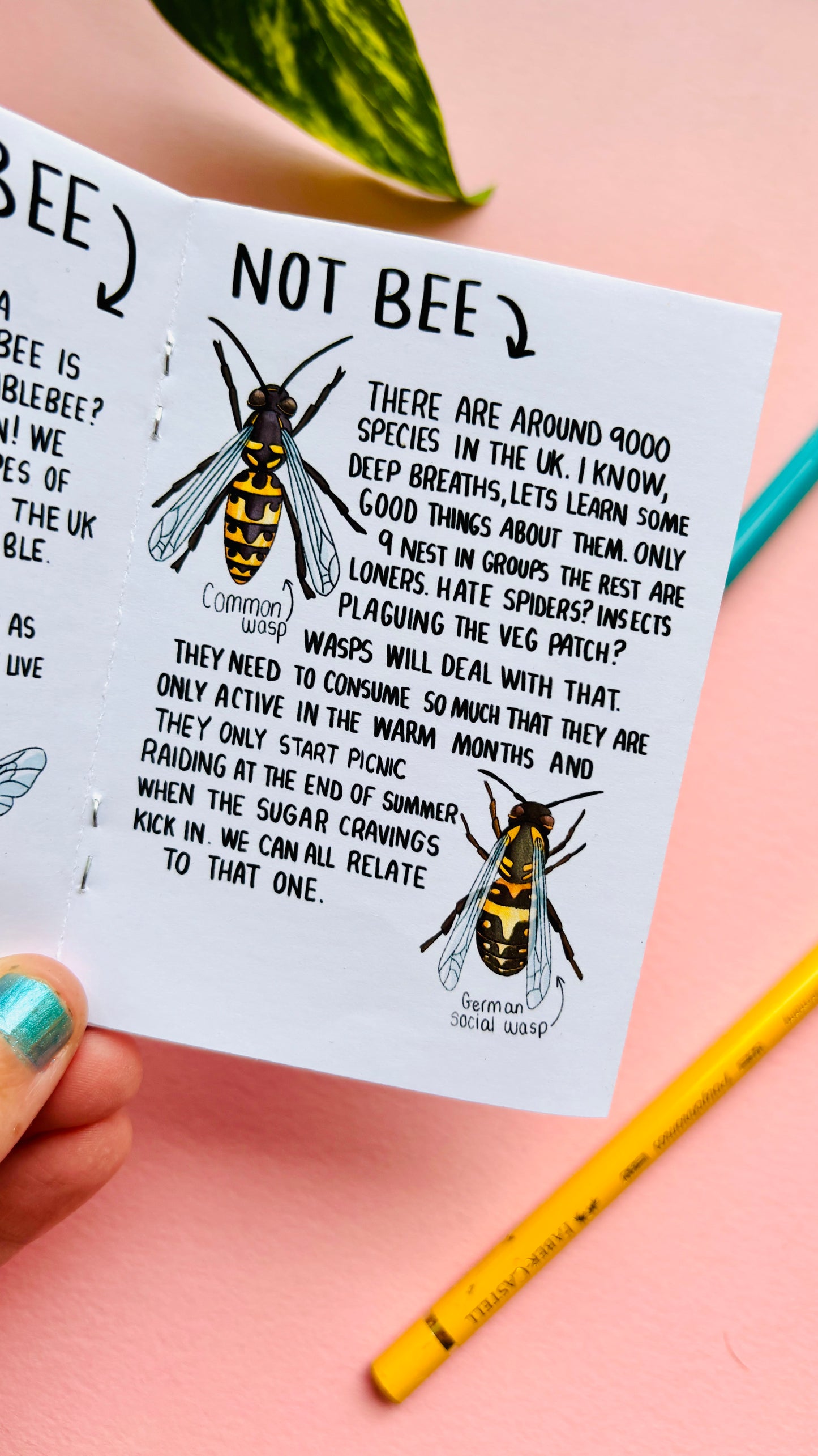 To BEE or not to BEE- An introduction to UK Bees Zine