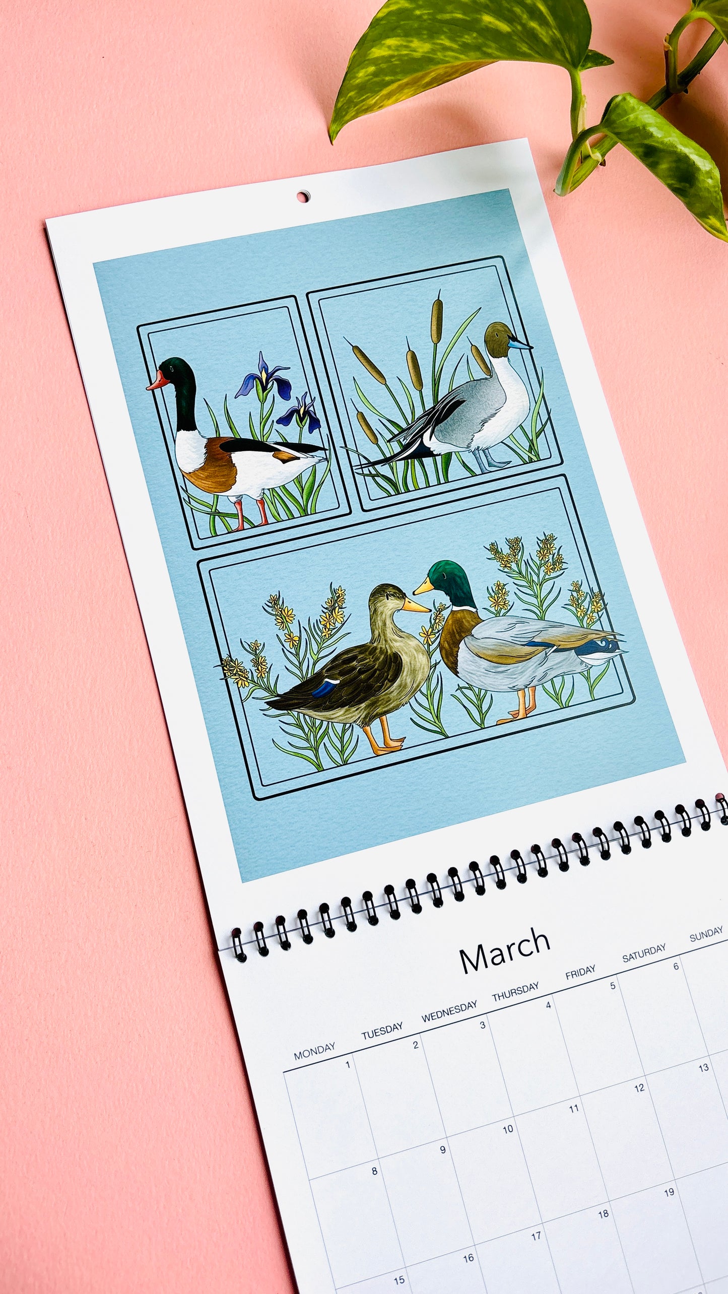 PRE-ORDER British Birds 2027 Calendar- Original Illustrated UK Nature Calendar