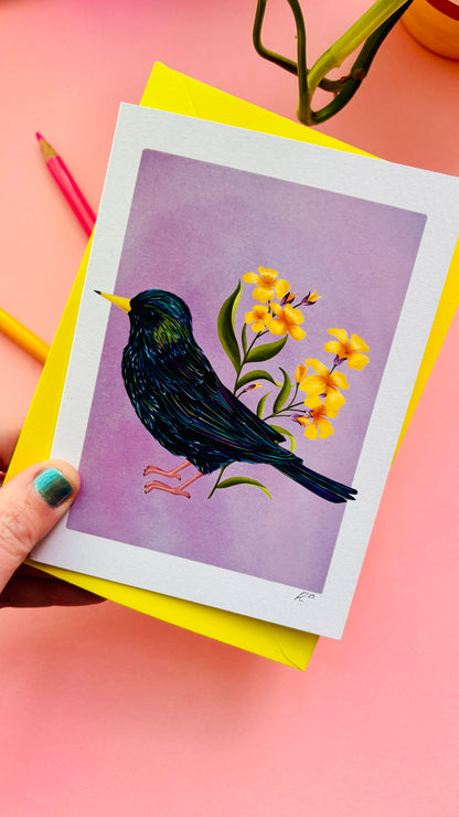 Starling Blank Art Card- British Bird Illustration