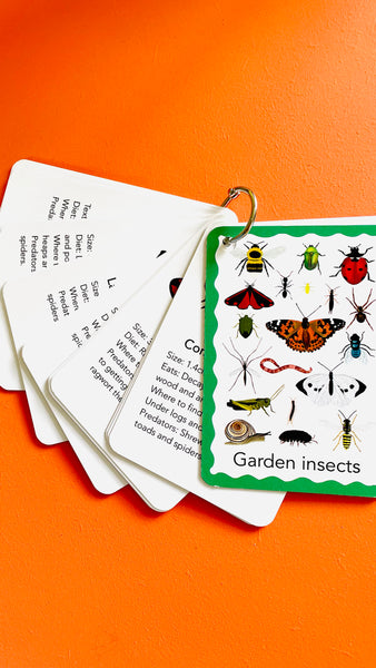 Garden Insects Illustrated Identification Cards