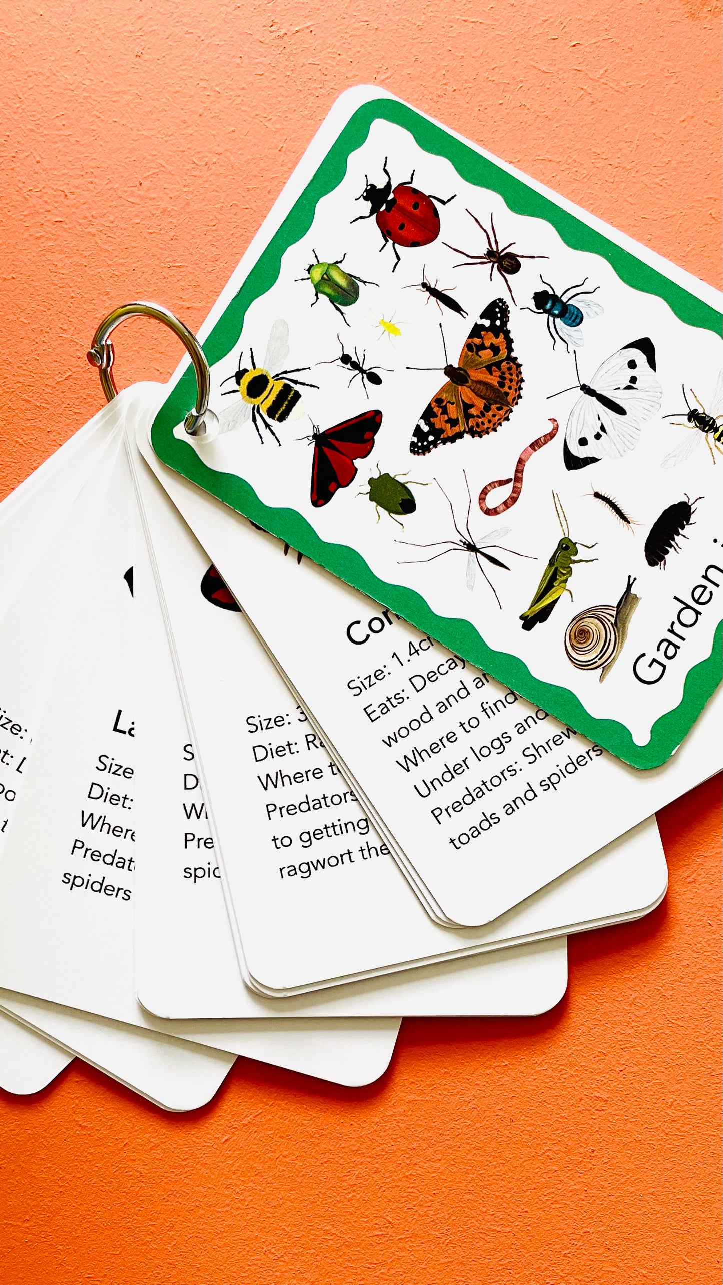 Garden Insects Illustrated Identification Cards