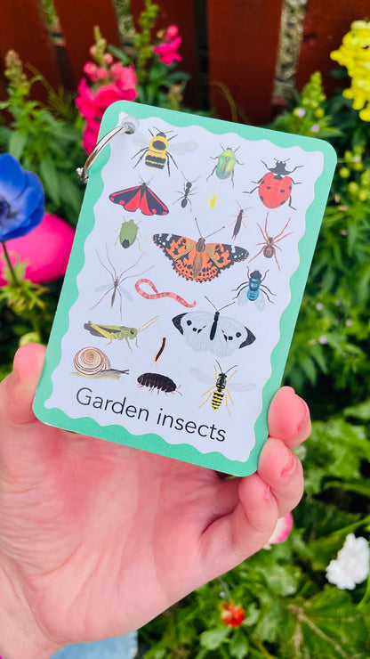 Garden Insects Illustrated Identification Cards