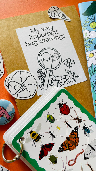 Bug Hunting Illustrated Gift Set