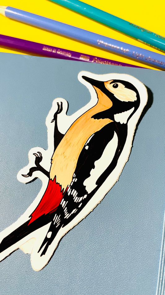 Woodpecker Illustrated Vinyl Sticker