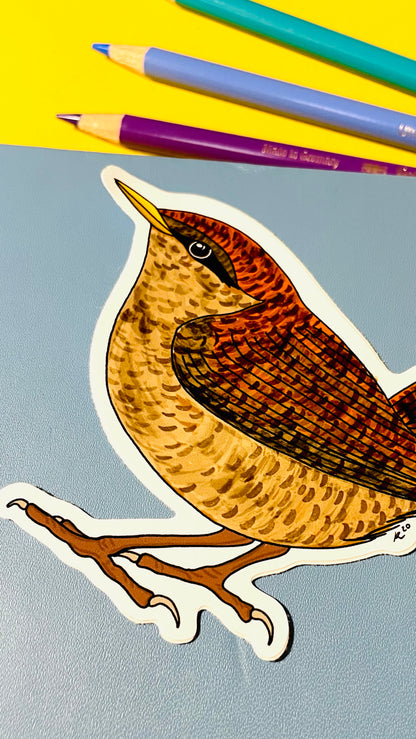 Wren Illustrated Vinyl Sticker