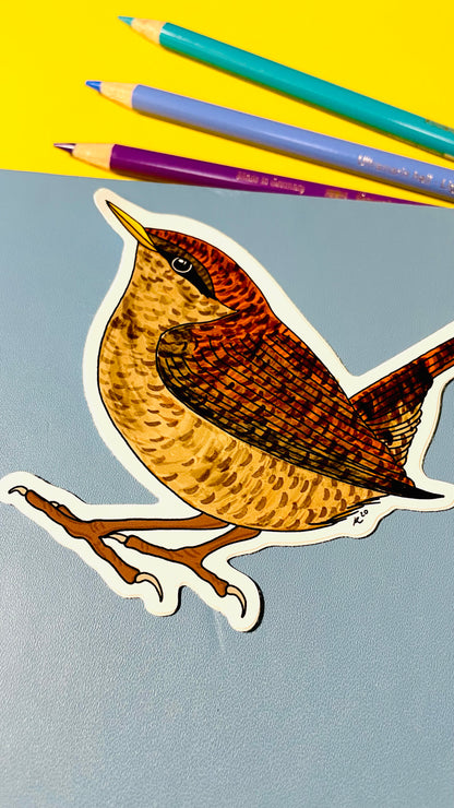 Wren Illustrated Vinyl Sticker