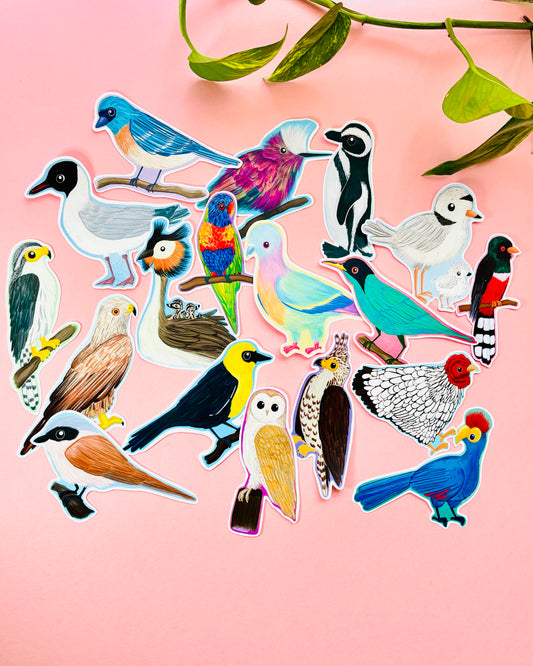 A collection of illustrated vinyl stickers of different species of birds