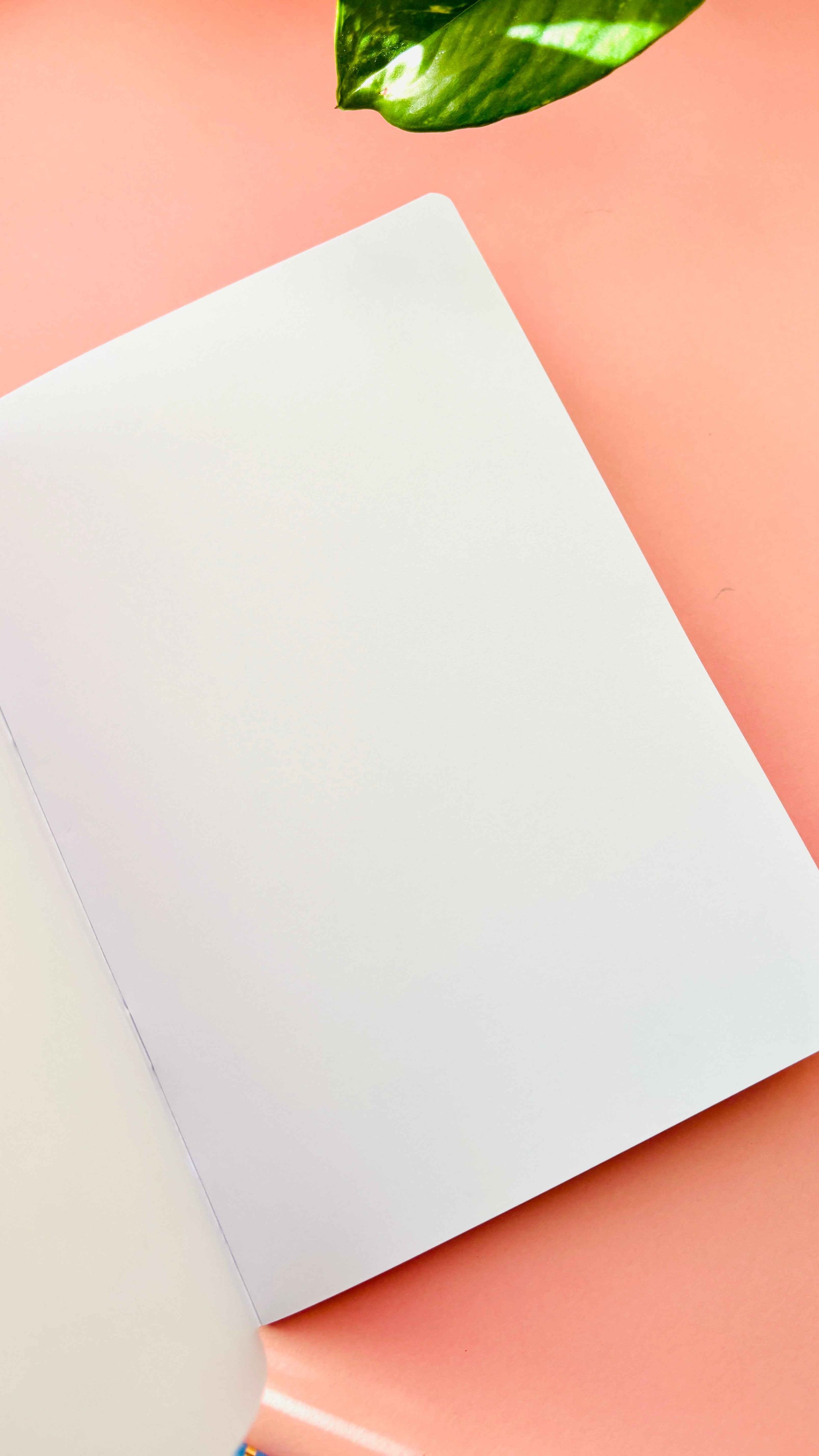 Blank pages from inside notebook