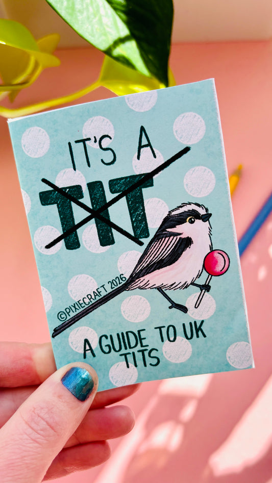 It’s not just a tit British bird guide. Mini zine of uk wildlife 