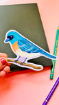 lazuli bunting bird illustrated vinyl sticker