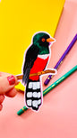 Masked trogon tropical bird illustrated vinyl sticker