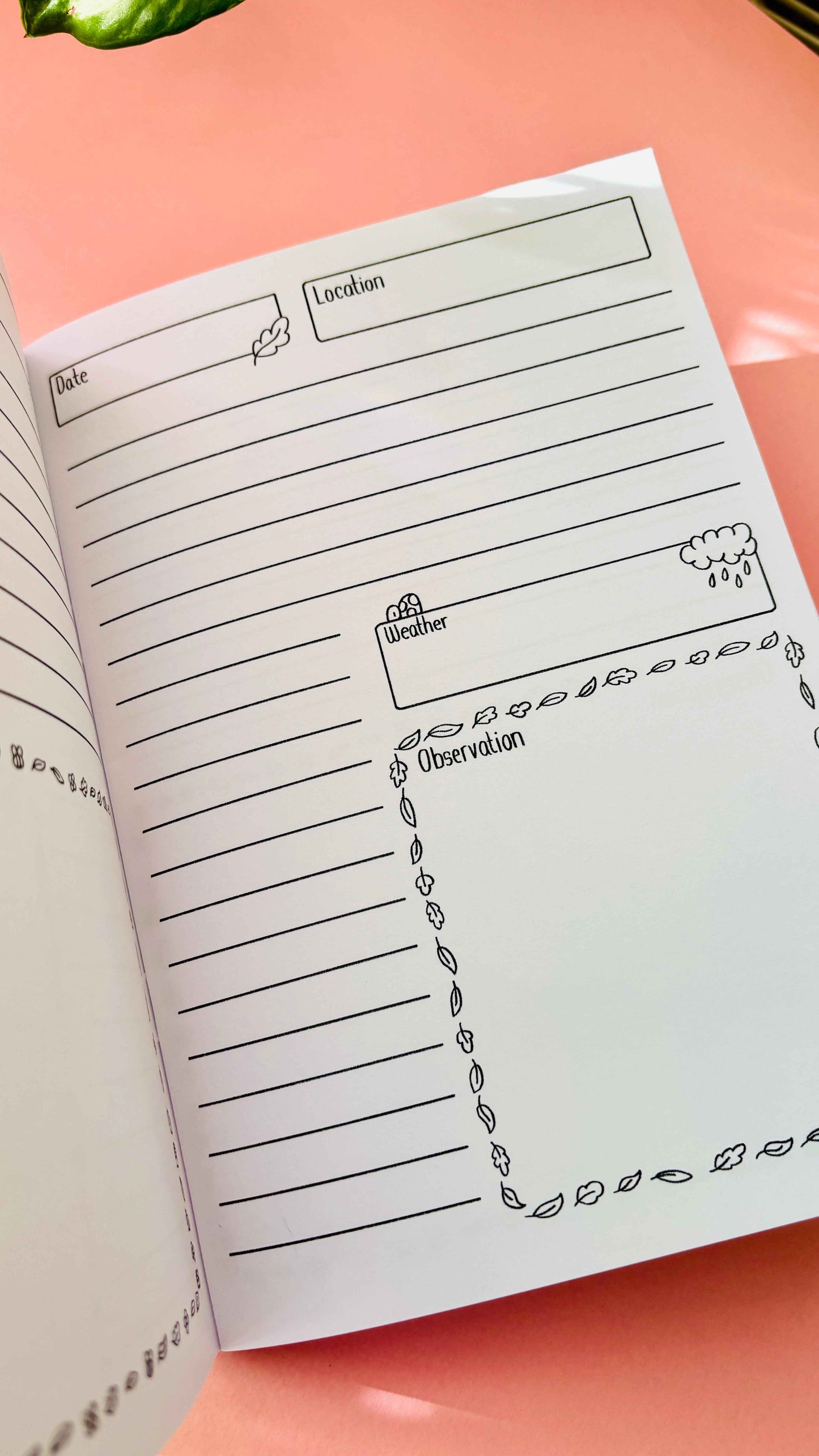 Inside pages of a nature observation journal showing space for notes and sketching observations