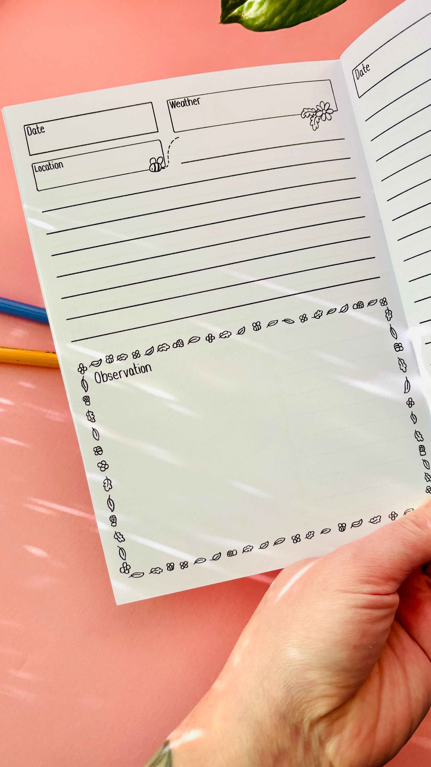 Close-up of lined notes page inside an A5 nature journal for recording nature observations