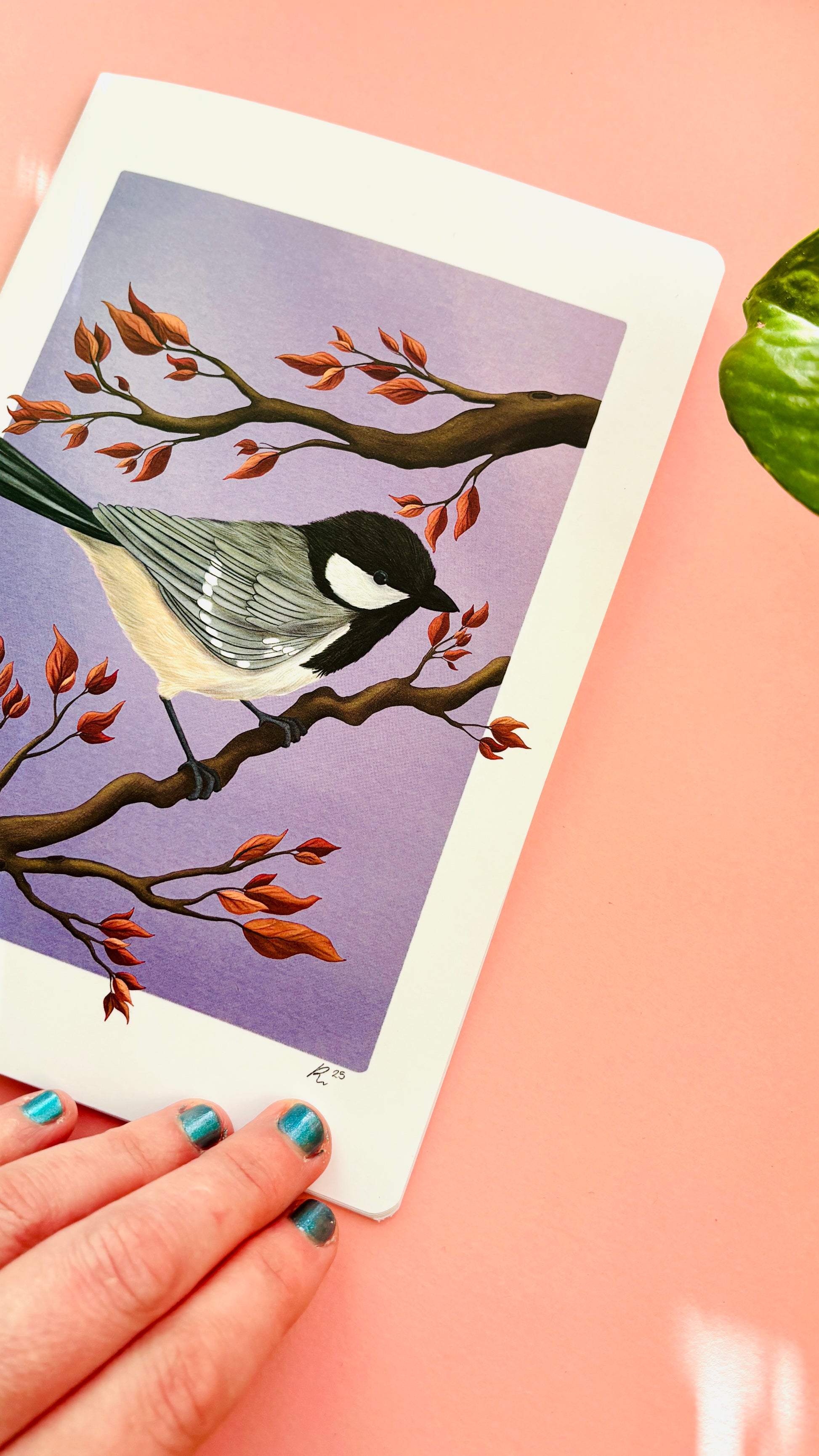 British bird blank notebook for nature lovers