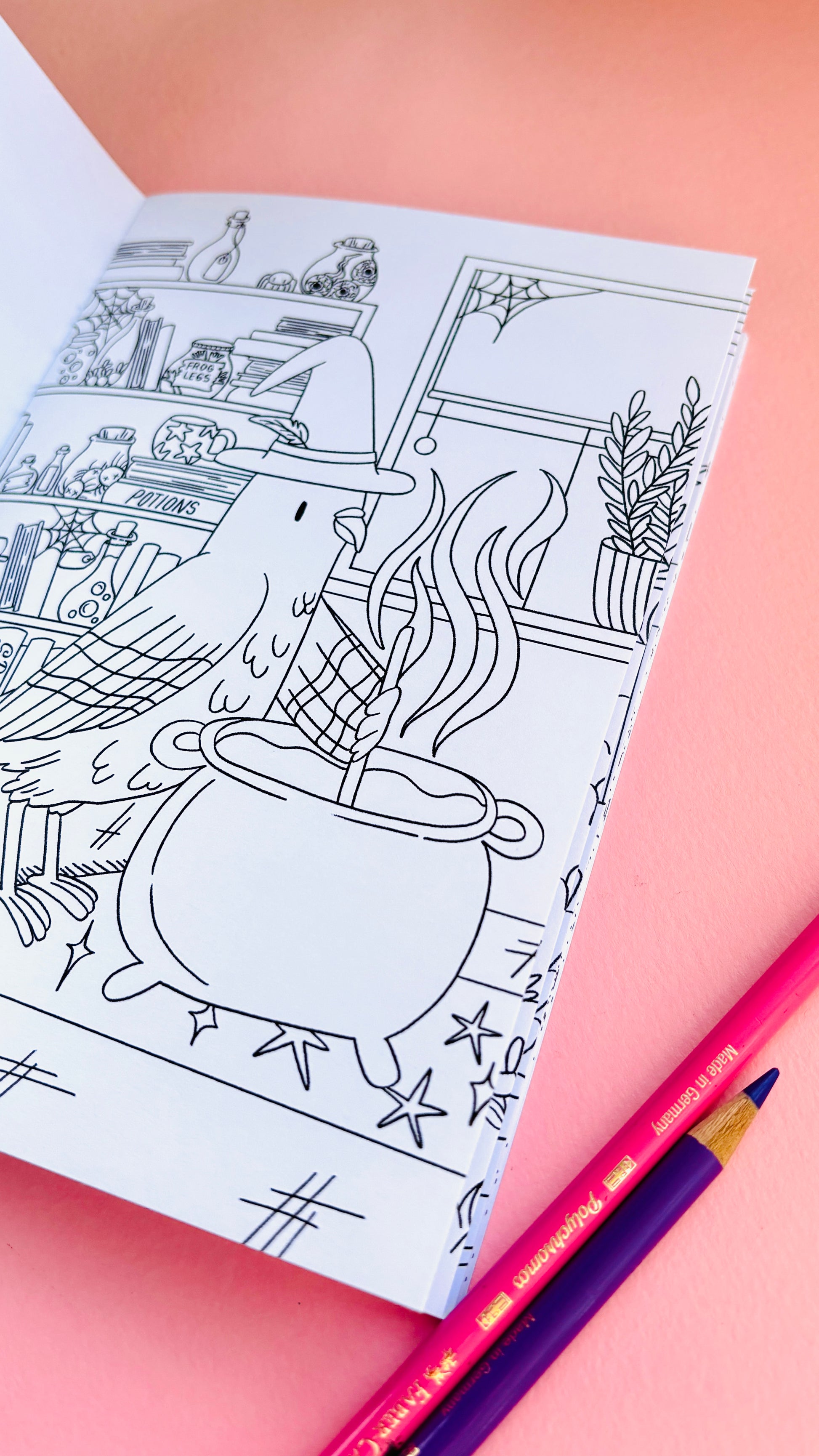 Witchy pigeon illustration in a colouring book for adults and kids 