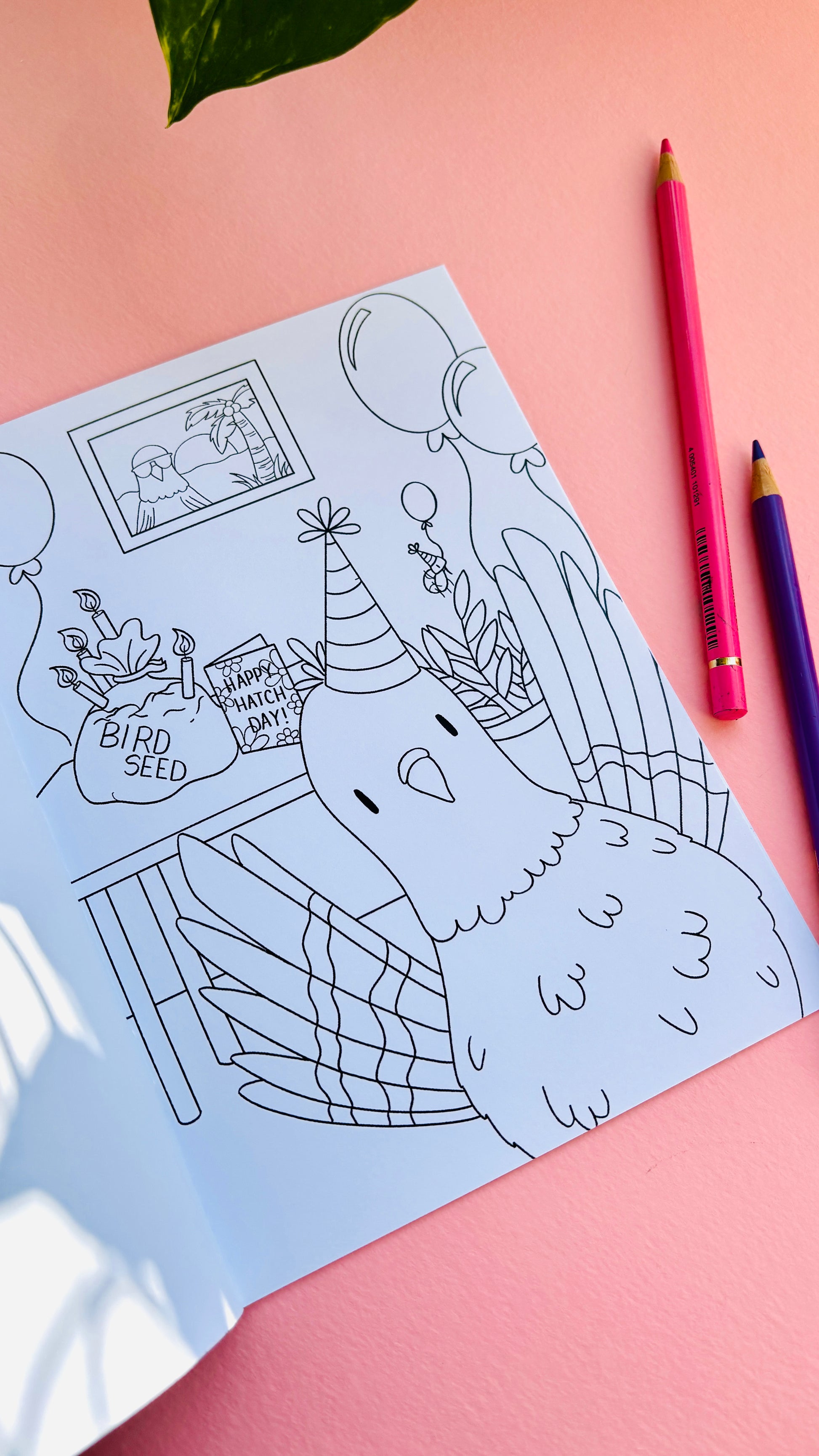 Party pigeon illustration in a funny colouring book with bold easy to colour design. Handmade in the uk 