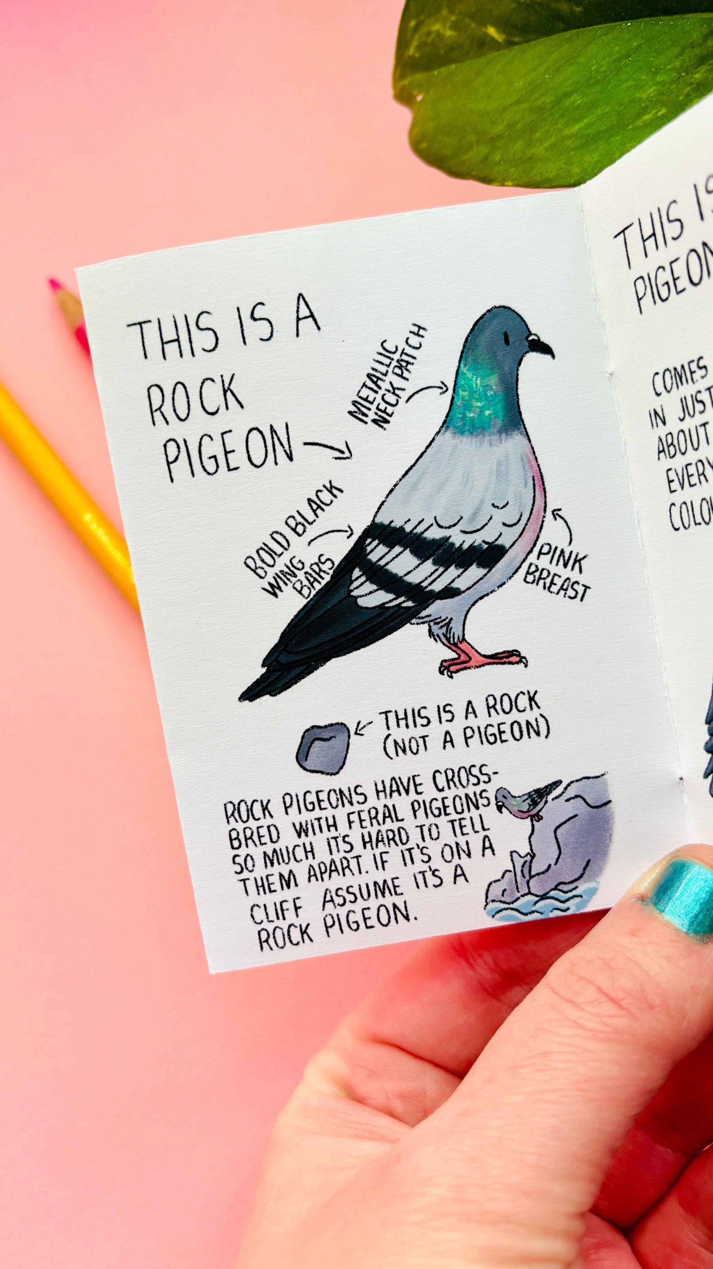 Artist Mini Zine- Illustrated in the UK