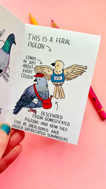 Artist Mini Zine- Illustrated in the UK