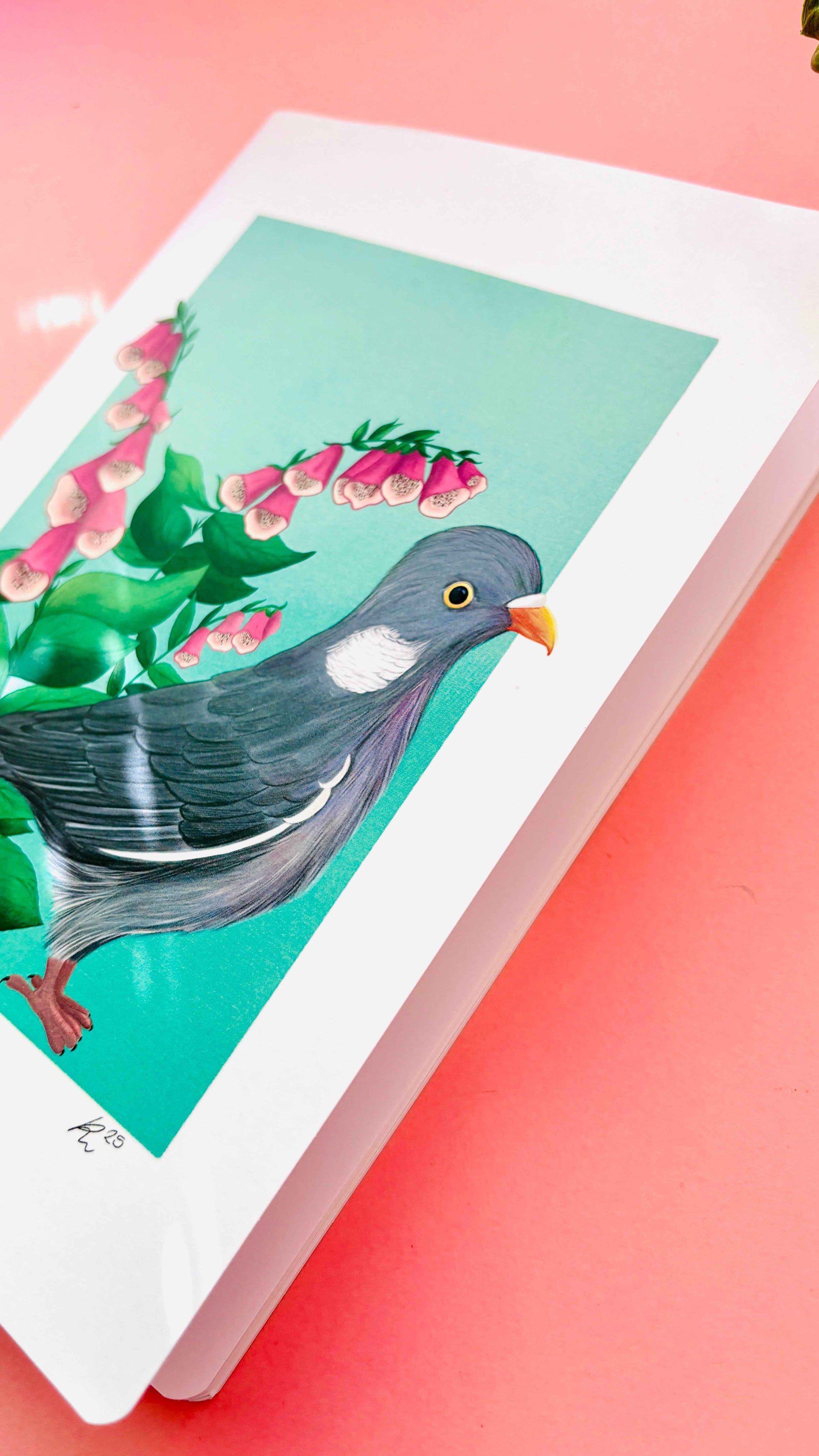 Coal Tit A5 Notebook – Illustrated Nature Blank Notebook
