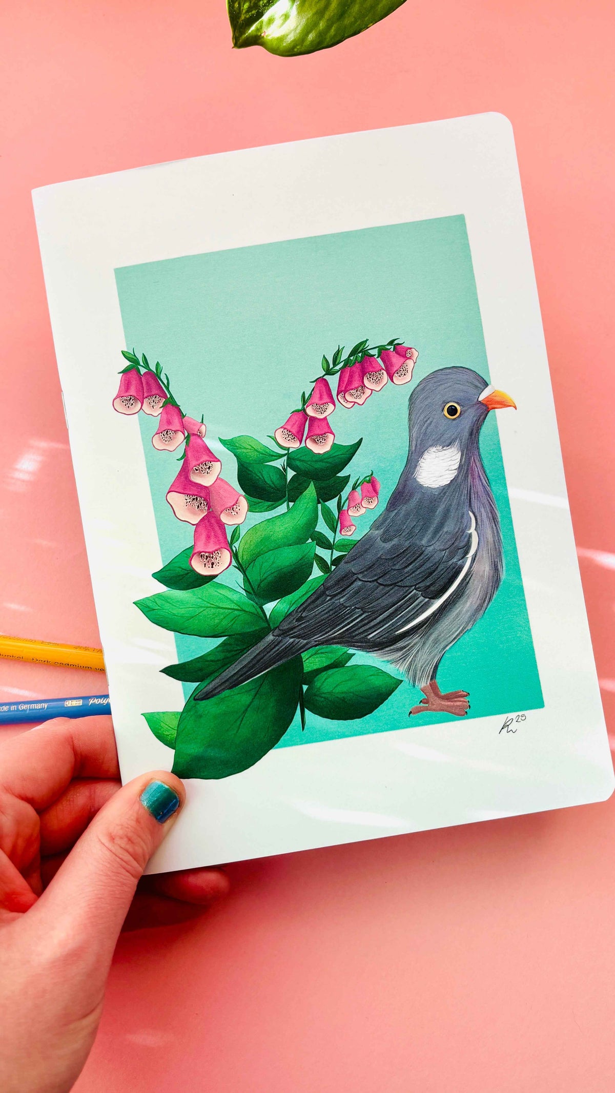 Coal Tit A5 Notebook – Illustrated Nature Blank Notebook