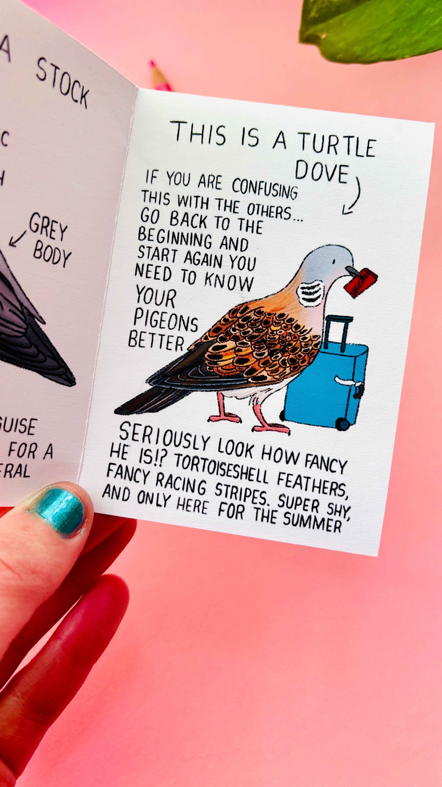 Artist Mini Zine- Illustrated in the UK