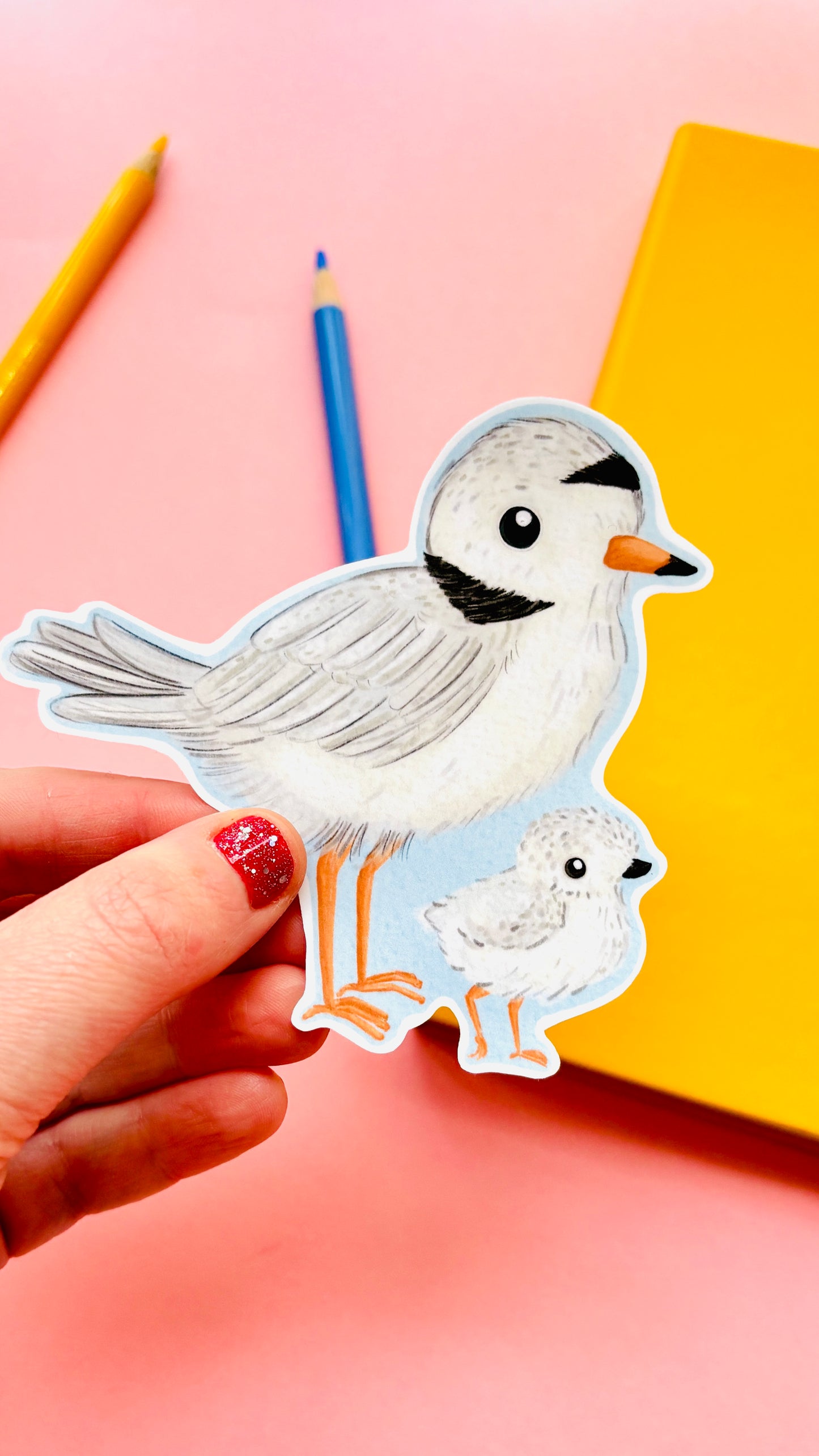 piping plover illustrated vinyl sticker 