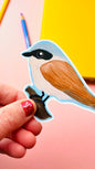 red backed shrike bird illustrated vinyl sticker