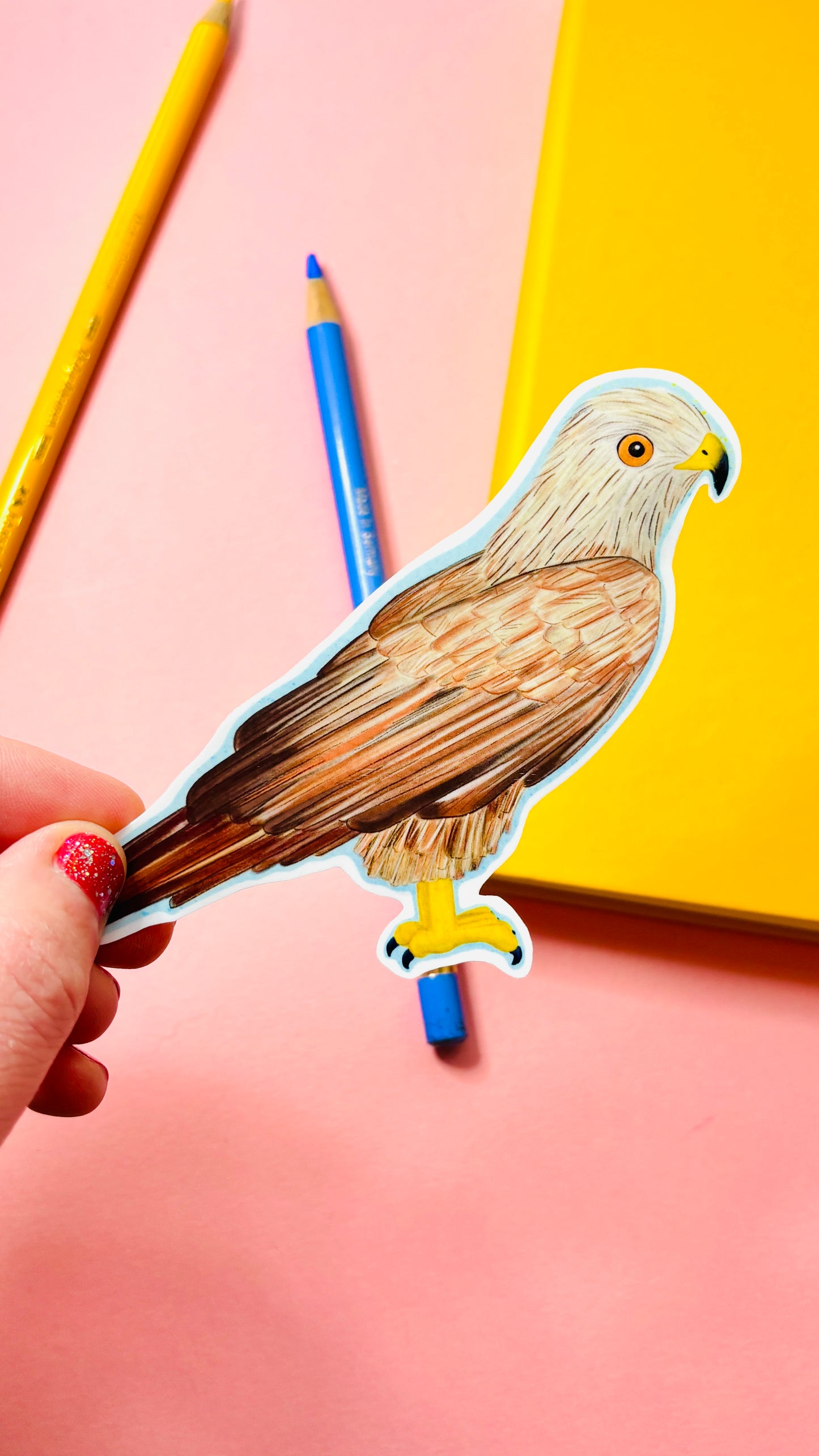 red kite bird of prey illustrated vinyl sticker