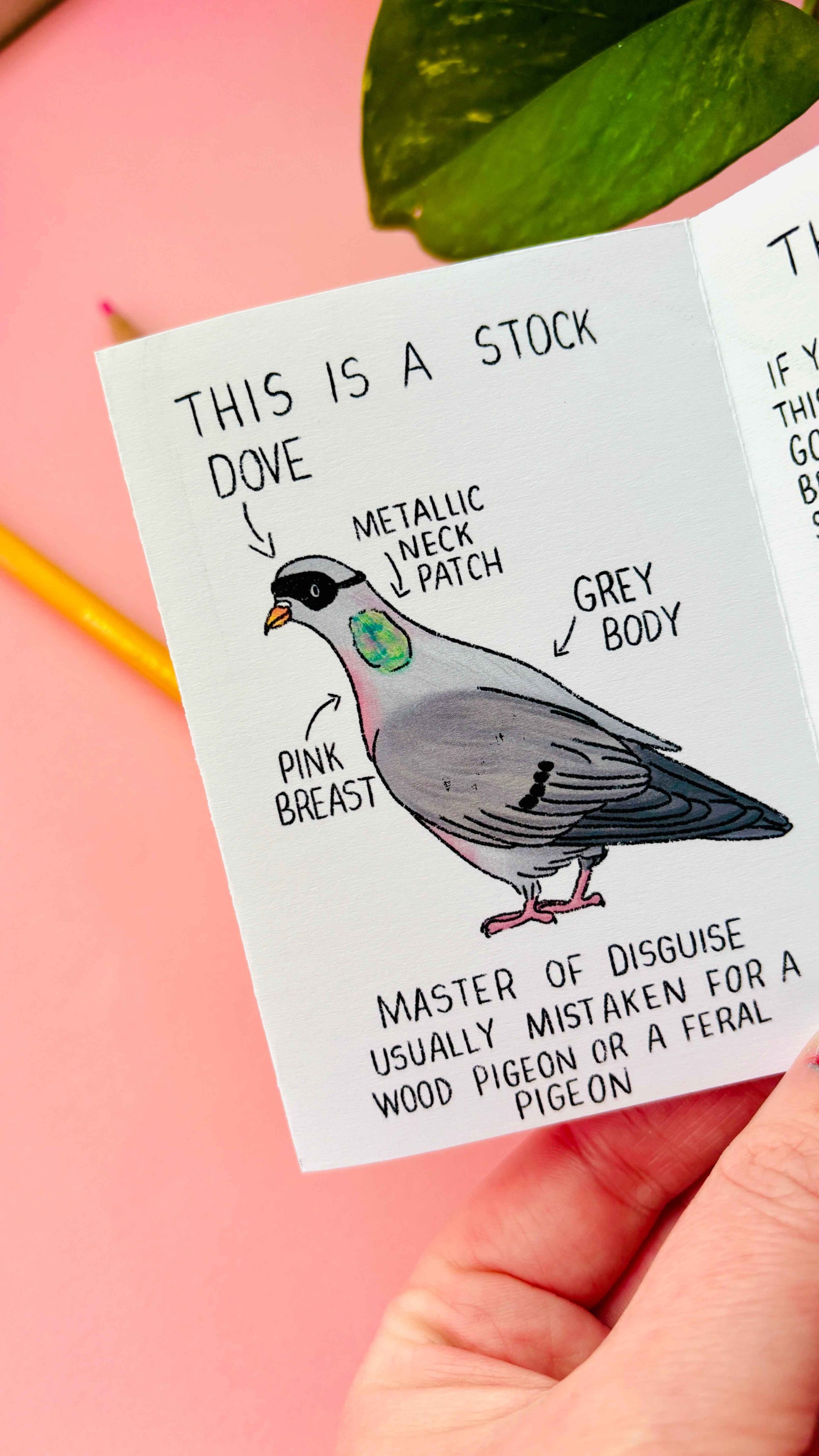 Artist Mini Zine- Illustrated in the UK