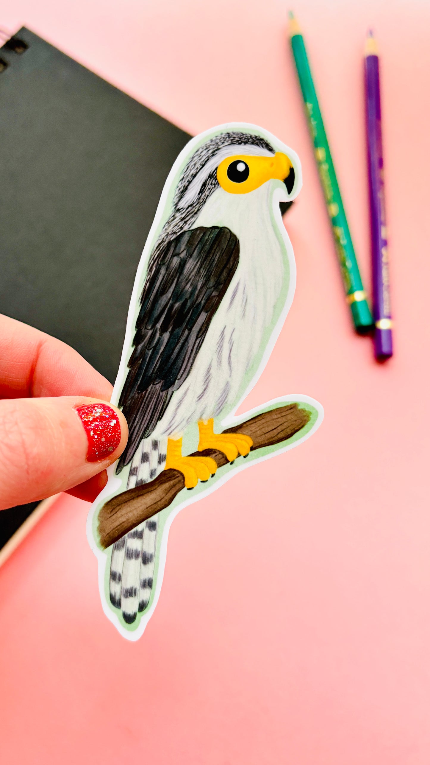 white rumped falcon bird of prey sticker