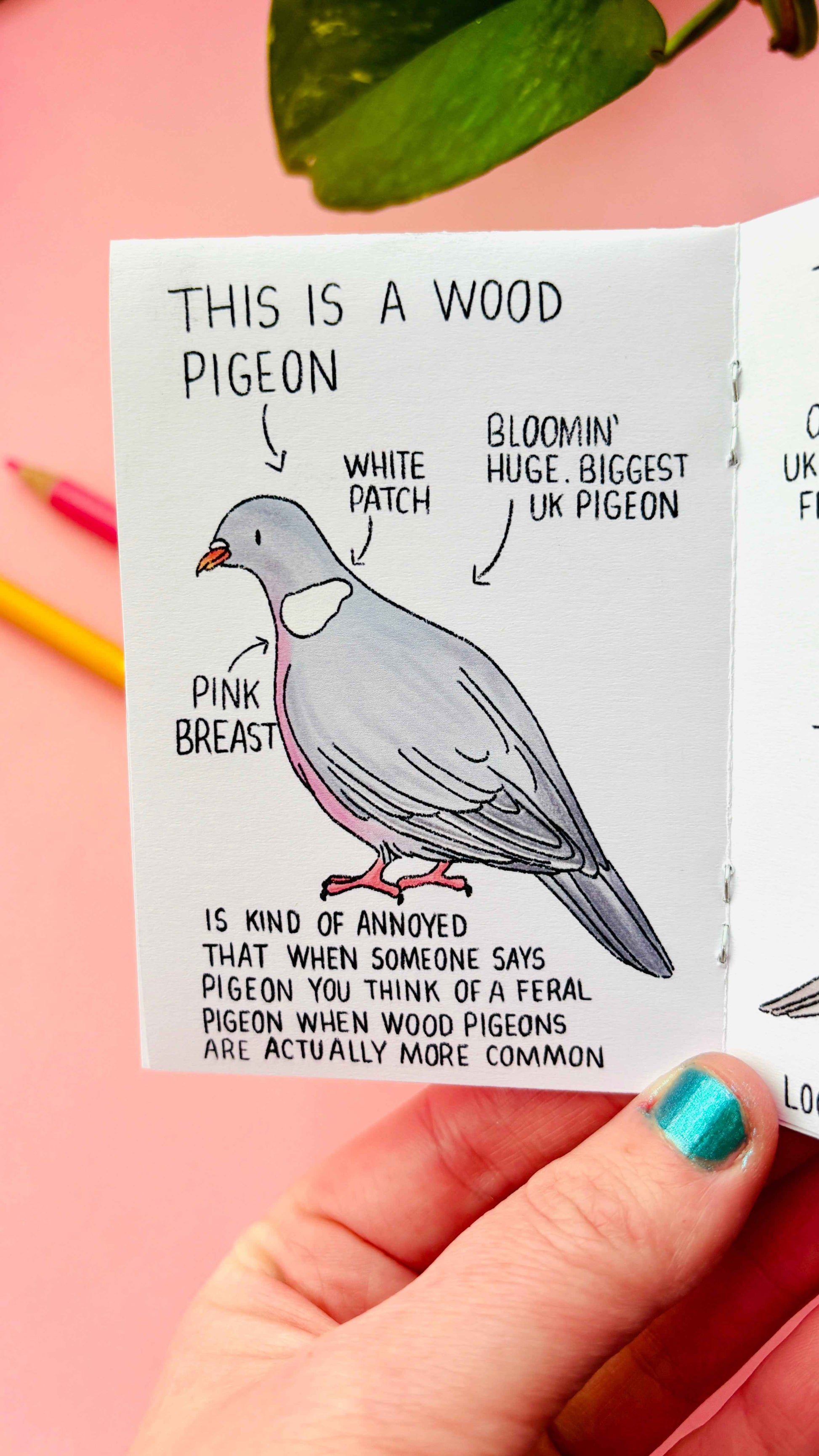 Artist Mini Zine- Illustrated in the UK