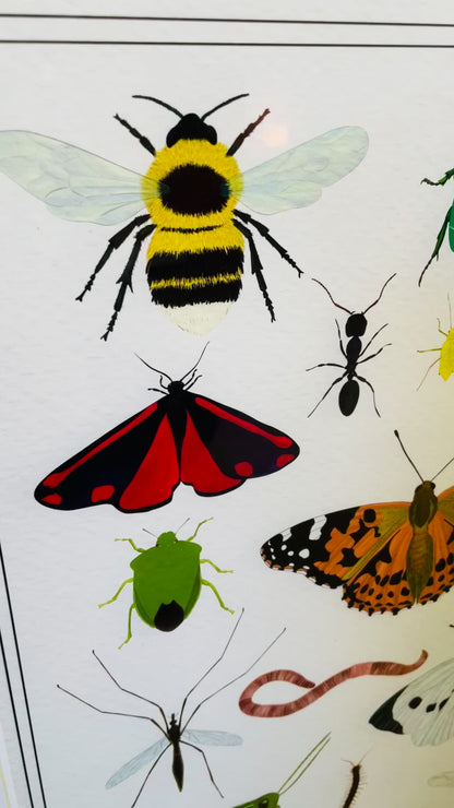 Garden Insects Wall Art Print