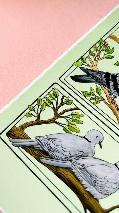 Pigeon & Doves British Birds Art Print