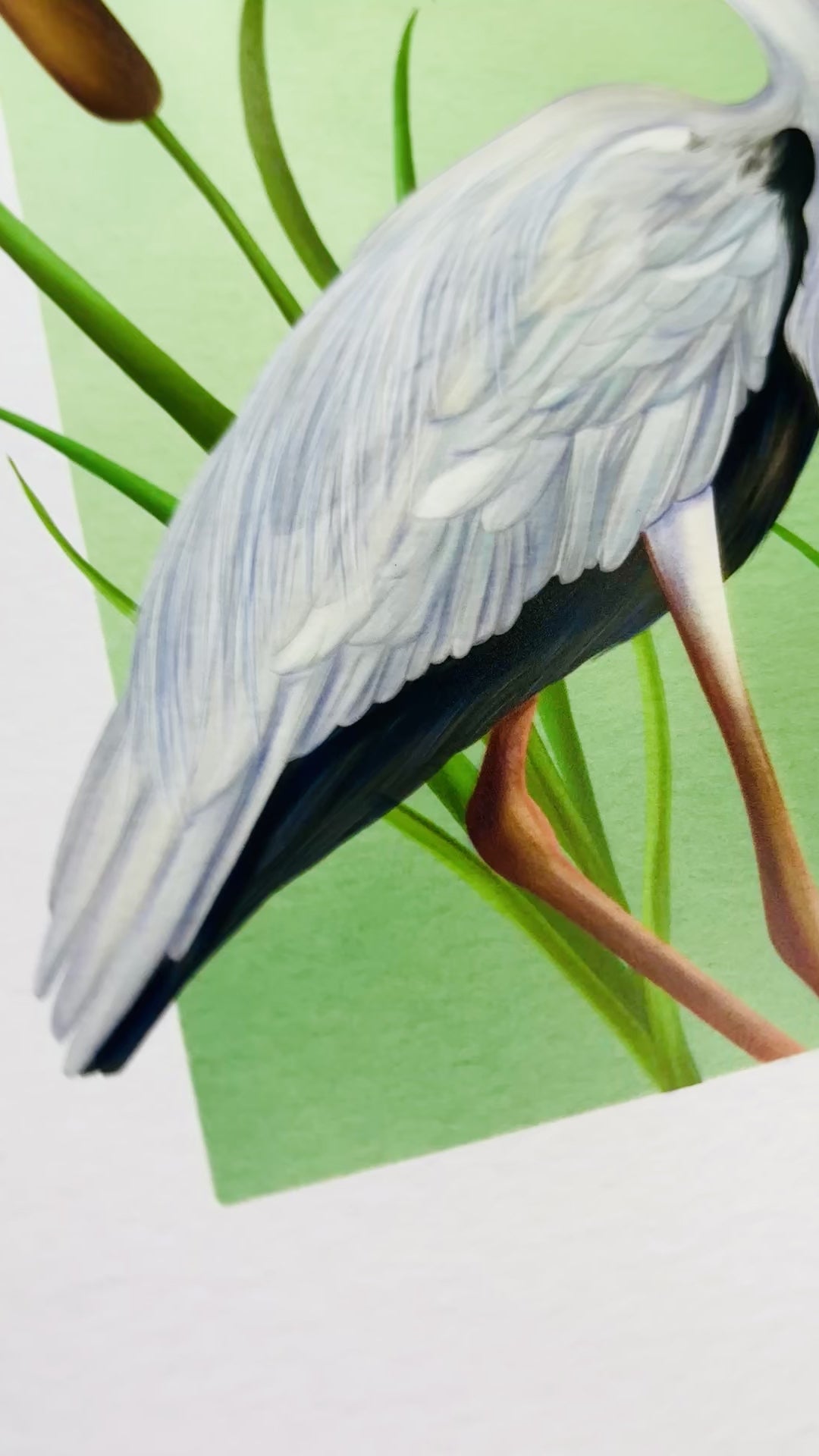 Heron art print. A beautiful hand drawn illustration of a grey heron stood between the reeds. Uk wildlife art for nature lovers and cottagecore home decor styles. Printed onto matte archival  paper in a3, a4, 5x7, 6x4