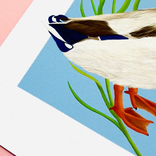 A detailed illustration of a mallard duck and vibrant yellow iris flower set against a vibrant blue background the duck art print is the perfect gift for nature lovers, fans of botanical art and cottagecore aesthetics.