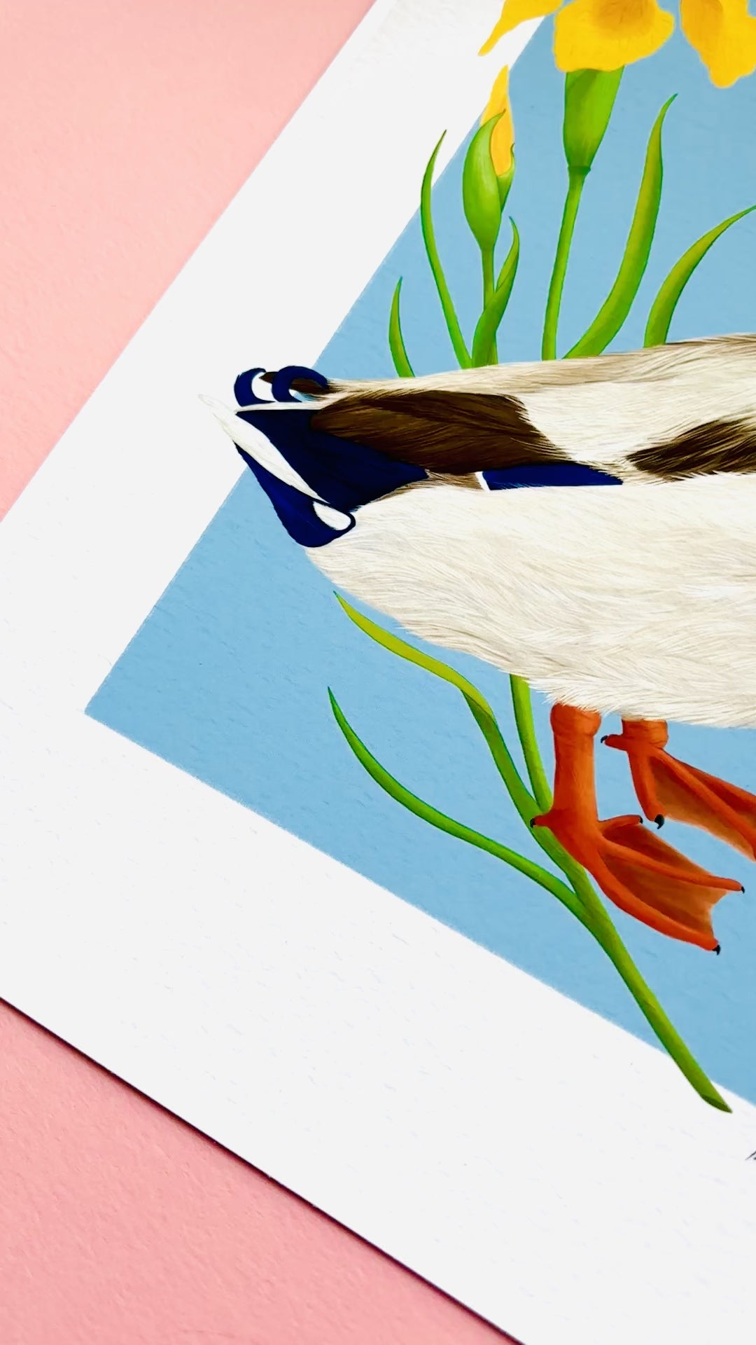 A detailed illustration of a mallard duck and vibrant yellow iris flower set against a vibrant blue background the duck art print is the perfect gift for nature lovers, fans of botanical art and cottagecore aesthetics.
