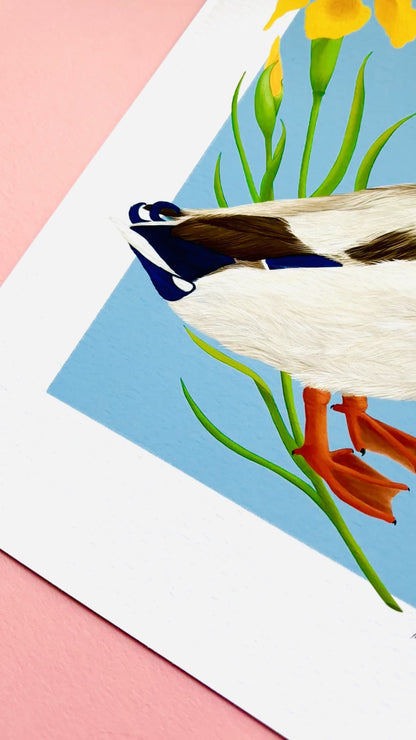 A detailed illustration of a mallard duck and vibrant yellow iris flower set against a vibrant blue background the duck art print is the perfect gift for nature lovers, fans of botanical art and cottagecore aesthetics.